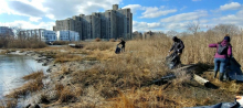 A group of people cleaning up trash along an urban shoreline.
