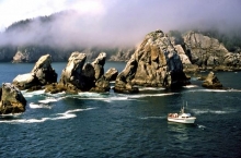 An exposed, rocky shoreline.