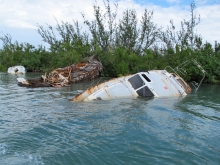 Grounded boats in mangroves.