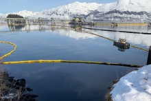 Pollution boom in water with oil on it.