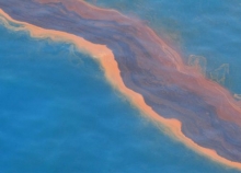Oil in water.