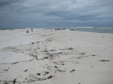 Tarballs on a beach in the foreground and people on the beach in the background. 