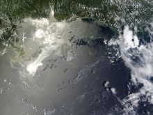 A satellite image of an oil spill in the Gulf of Mexico. 