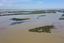 An overflight displays oil and gas mixture in an area of marsh environment near Garden Island Bay, Louisiana.
