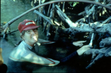 A woman swimming in a mangrove.