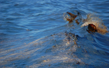 A wave with oil in it. 