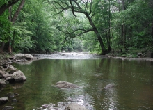 A shoreline with greenery in the background. 