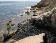 A man walks along a rocky, oil-covered beach. 