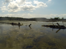 Algae-covered debris in water. 