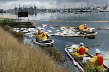Crews recover petroleum product at the outflow and clean impacted borders of the channel.