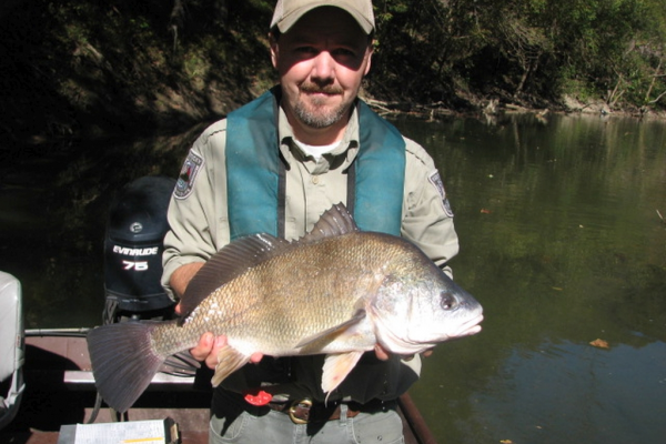 A person holding a fish out of water.