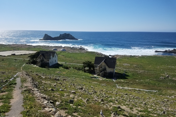 A view of a green shoreline with two buildings on it. 