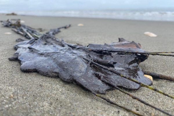 A tarball on a beach.