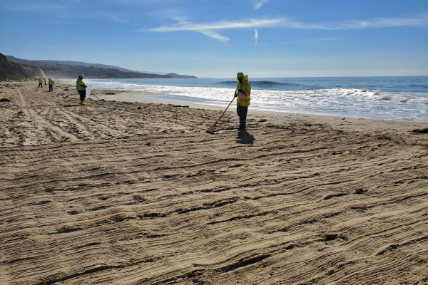Cleanup workers on a beach.