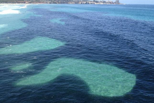 A dark substance in the water with several pools of clear water visible. 