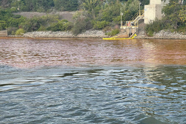 A visible line of darker water. 