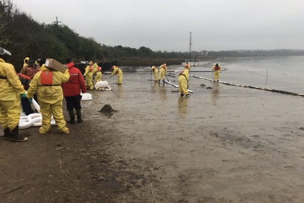 Cleanup workers on a beach.