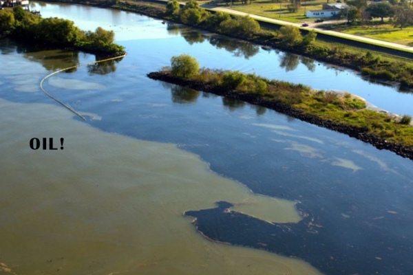 A dark substance in a body of water along a shoreline.