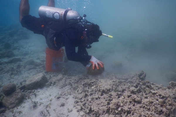 An underwater diver. 