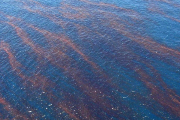 Streaks of an orange-red substance in water.