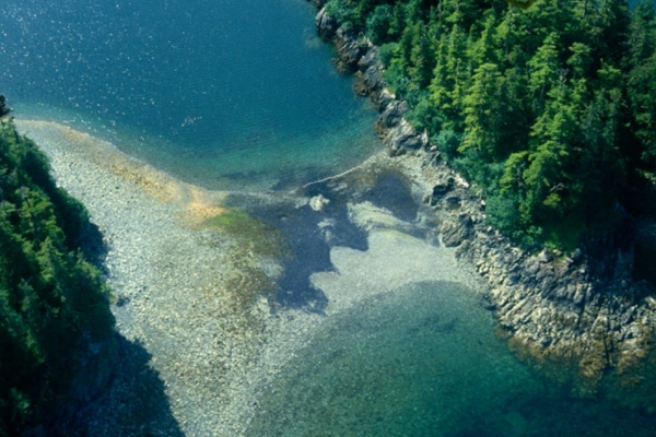 A dark substance in the water along a shallow inlet.