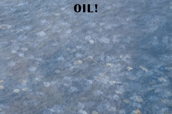 A large collection of patches of a shiny substance in water.