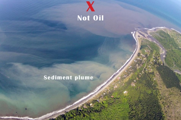An aerial view of a cloudy tan substance in a body of water along a shoreline.